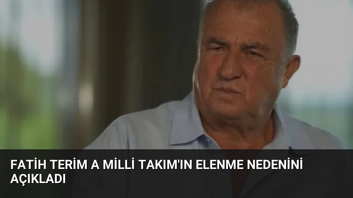 Fatih Terim A Milli Takım’ın Elenme Nedenini Açıkladı
